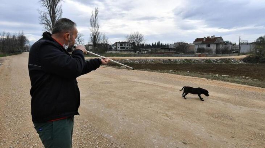 Bursa’da Pitbull operasyonu!