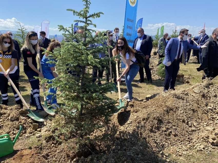 Kuzey Yıldızı oyuncuları fidan dikti