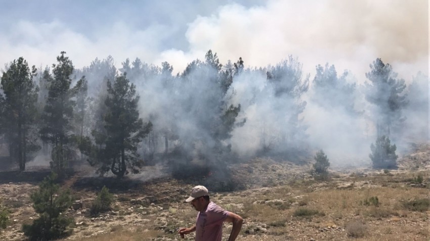 Konya’da ormanlık alanda yangın