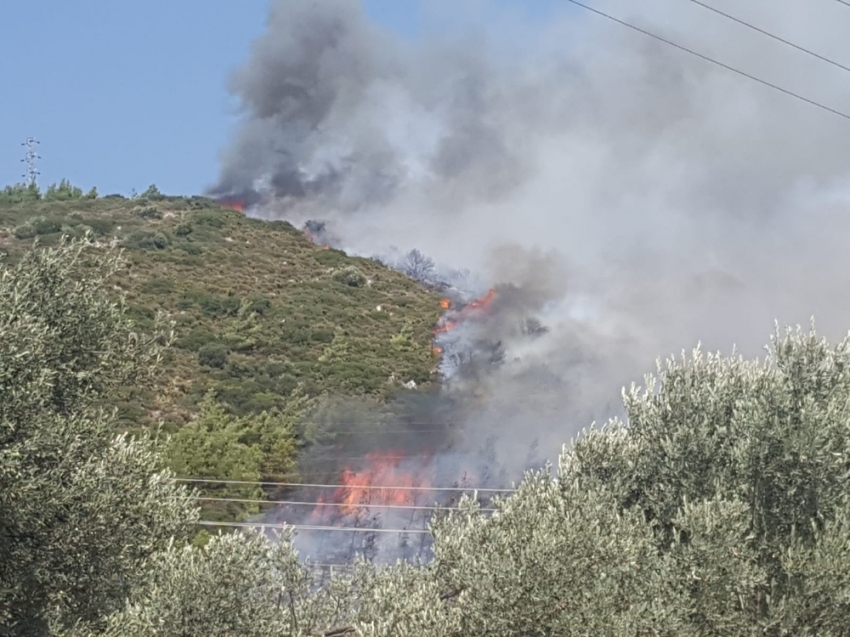 Bodrum’da yangın sonrası korkunç manzara