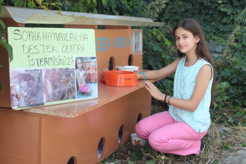 Sokaklarda keman çalarak kedi evi yaptırdı