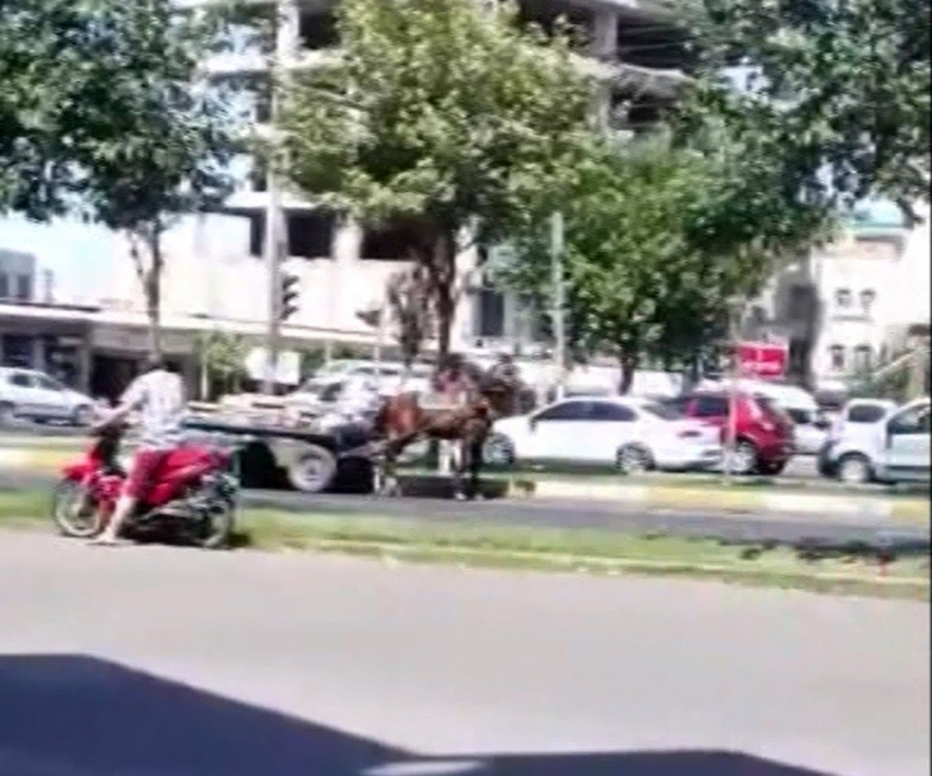 Aşırı yüklü arabayı çekemeyen atın hali görenleri üzdü