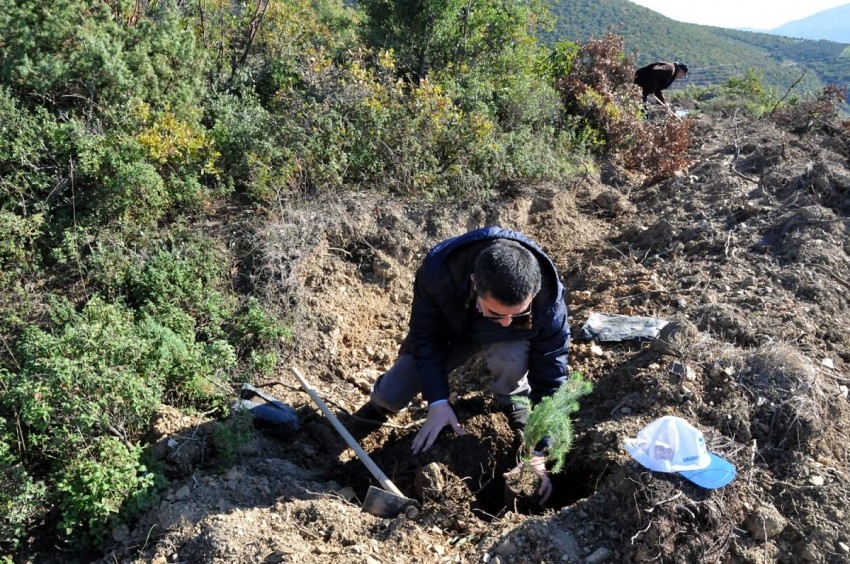 BSMMMO 6’ncı Hatıra Ormanı İznik’te oluşturuldu