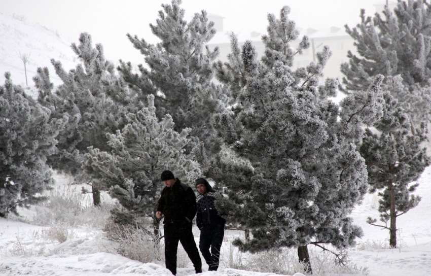 Doğu Anadolu’da soğuk hava: Göle - 17