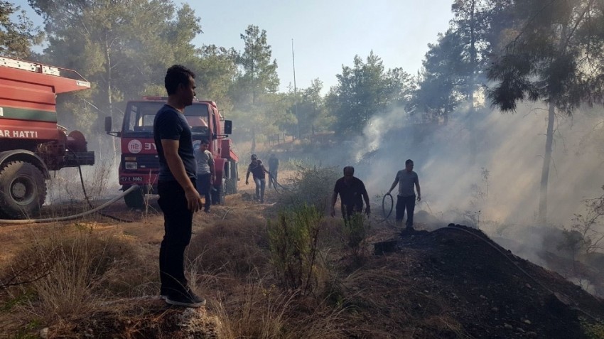 Antalya’da orman yangını!