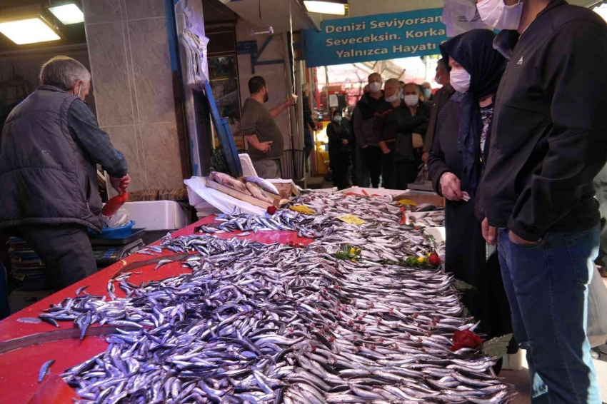 Kilosu 10 TL’ye düşen hamsiyi gören sıraya girdi