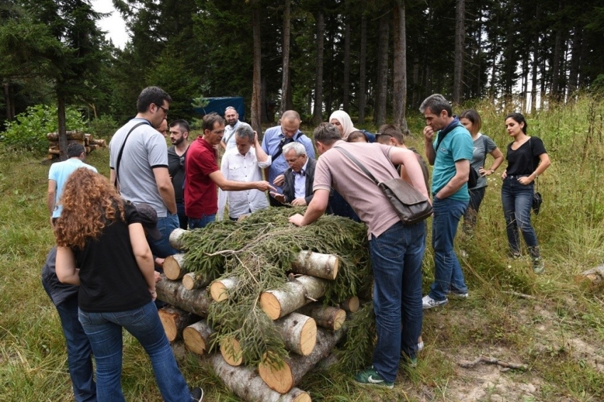 Artvin ormanları tehlike altında