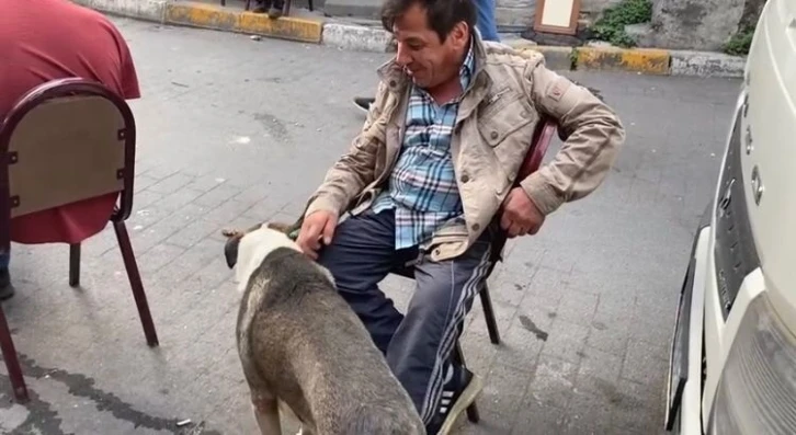 “7 Bela Taner” cinayetinde yaralanan “Bobi”ye mahalleli sahip çıktı
