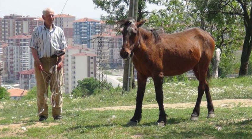 5 bin lira maaş alıyordu işi bıraktı!