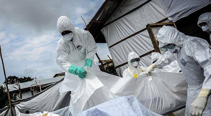 Ebola aşısında yüzde 100 başarı