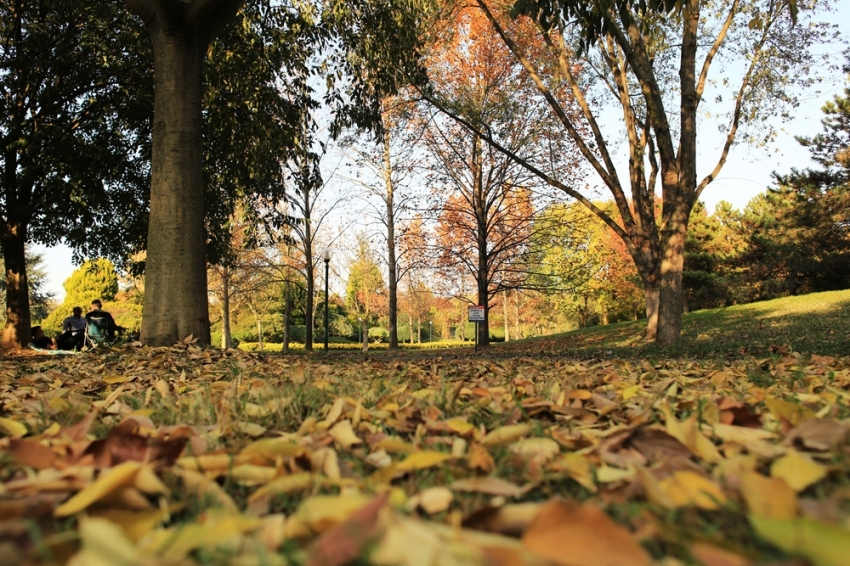 Botanik Park’ta kartpostallık sonbahar manzaraları