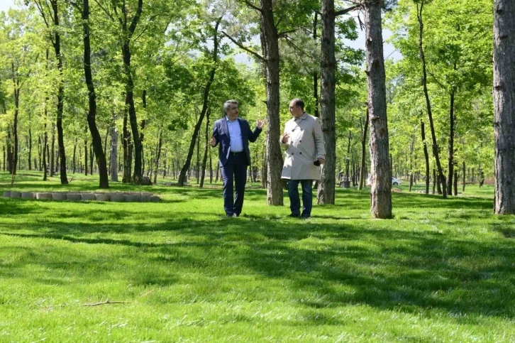 700 yıllık Osmanlı köyü Cumalıkızık’a 100 bin metrekarelik orman parkı