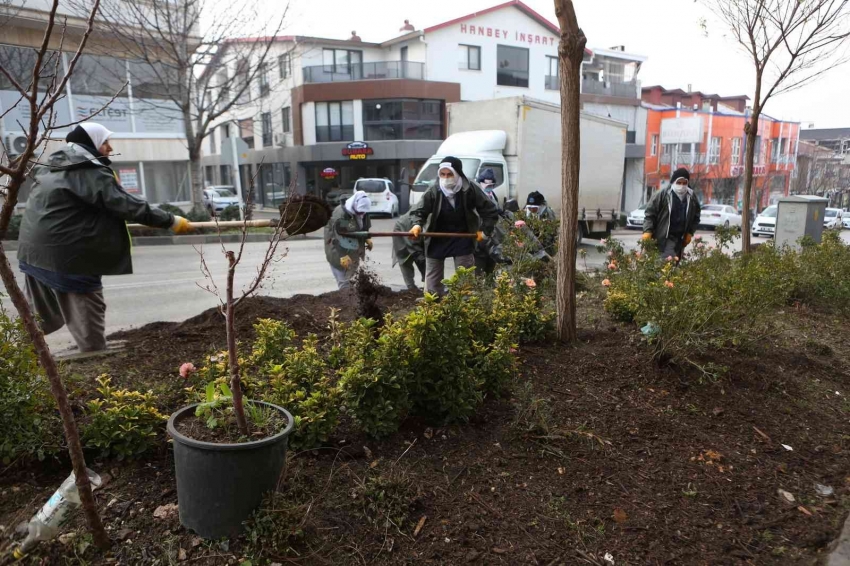 Bursa’da budanan ağaçların atıkları toprağa geri dönüyor