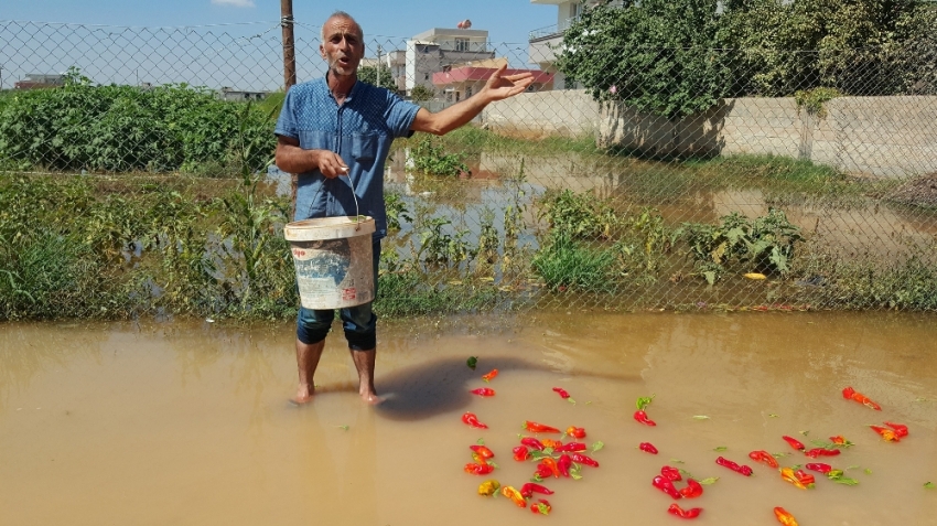 Suruç’ta ev ve iş yerlerini su bastı