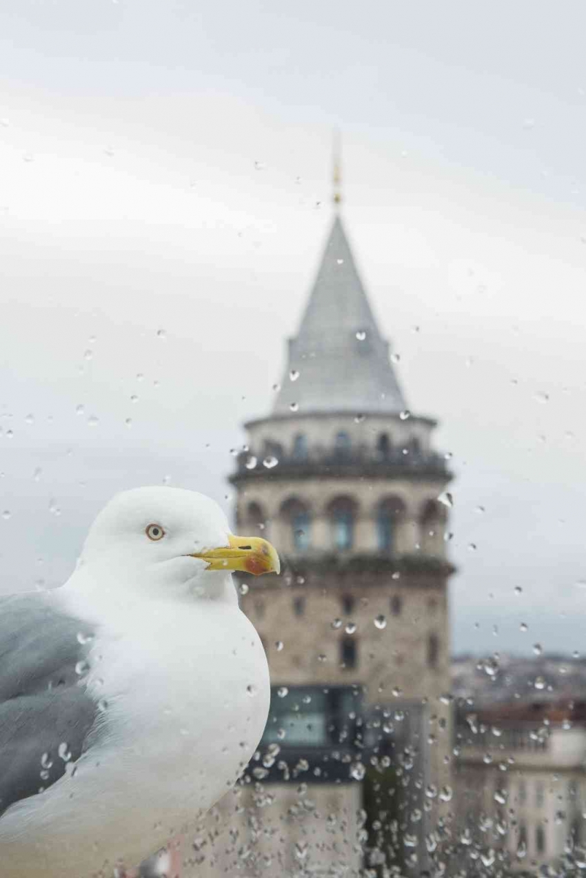 İstanbul’a İspanyol objektifi