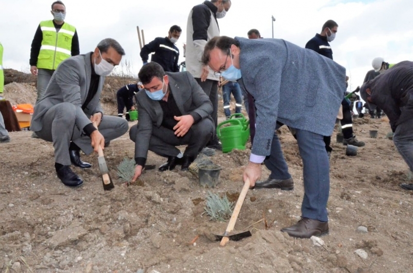 Emet’te 6 bin 500 fidan toprakla buluştu