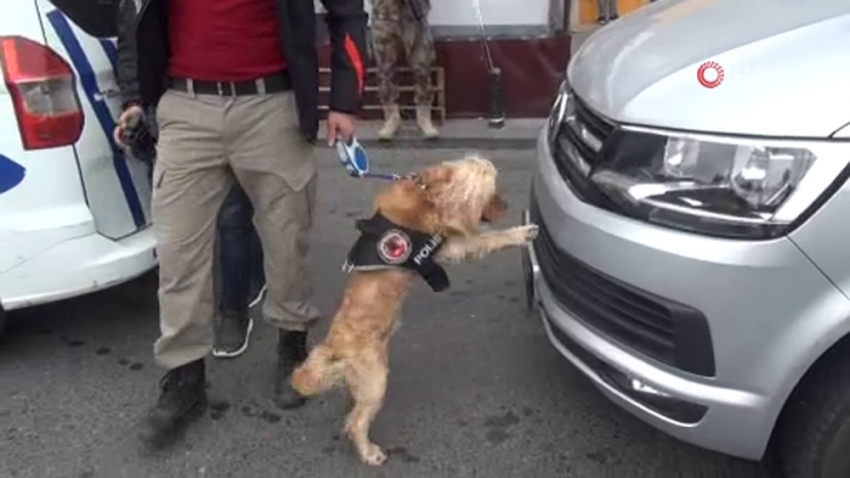 Narkotik köpeği ’Kuki’ vatandaşların ilgi odağı oldu