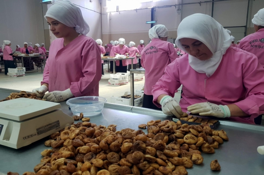 Çinlilerden Aydın İncirine yakın markaj