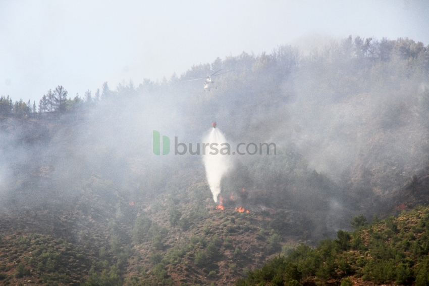 Fethiye’deki orman yangını kontrol altına alındı