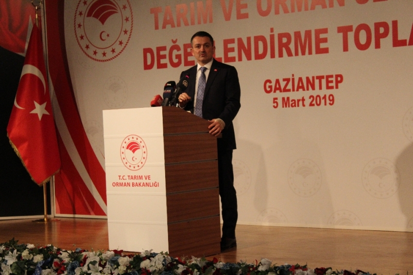 “2-3 yıl içinde kırmızı eti ihraç edecek duruma geleceğiz”