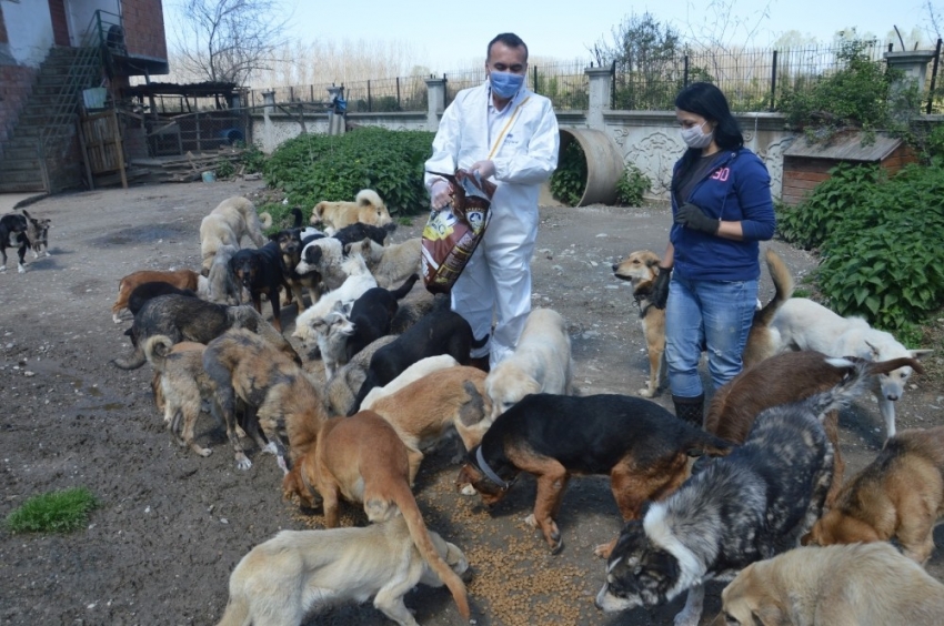 Emniyet Müdürü sokak hayvanlarına mama gönderdi