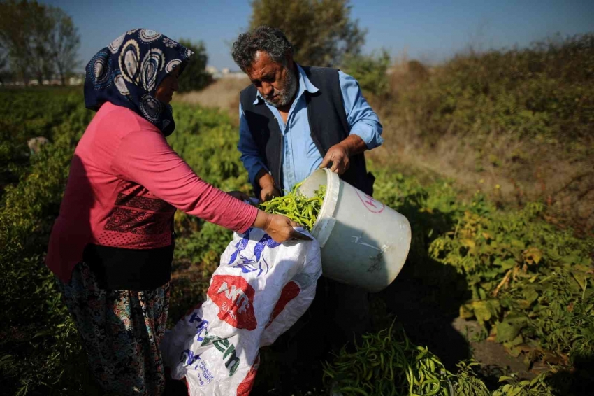 Bursalı üretici memnun!