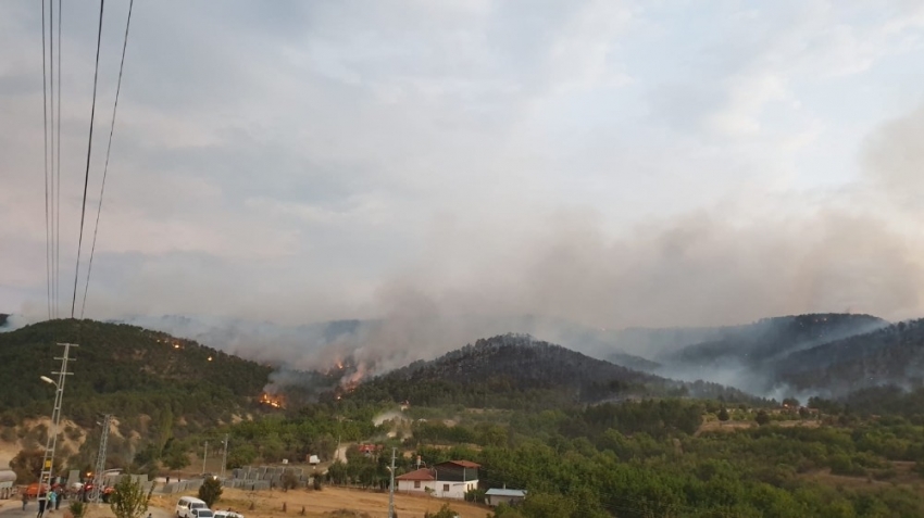 Ankara’da orman yangını