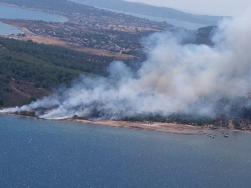 Cunda Adasında orman yangını