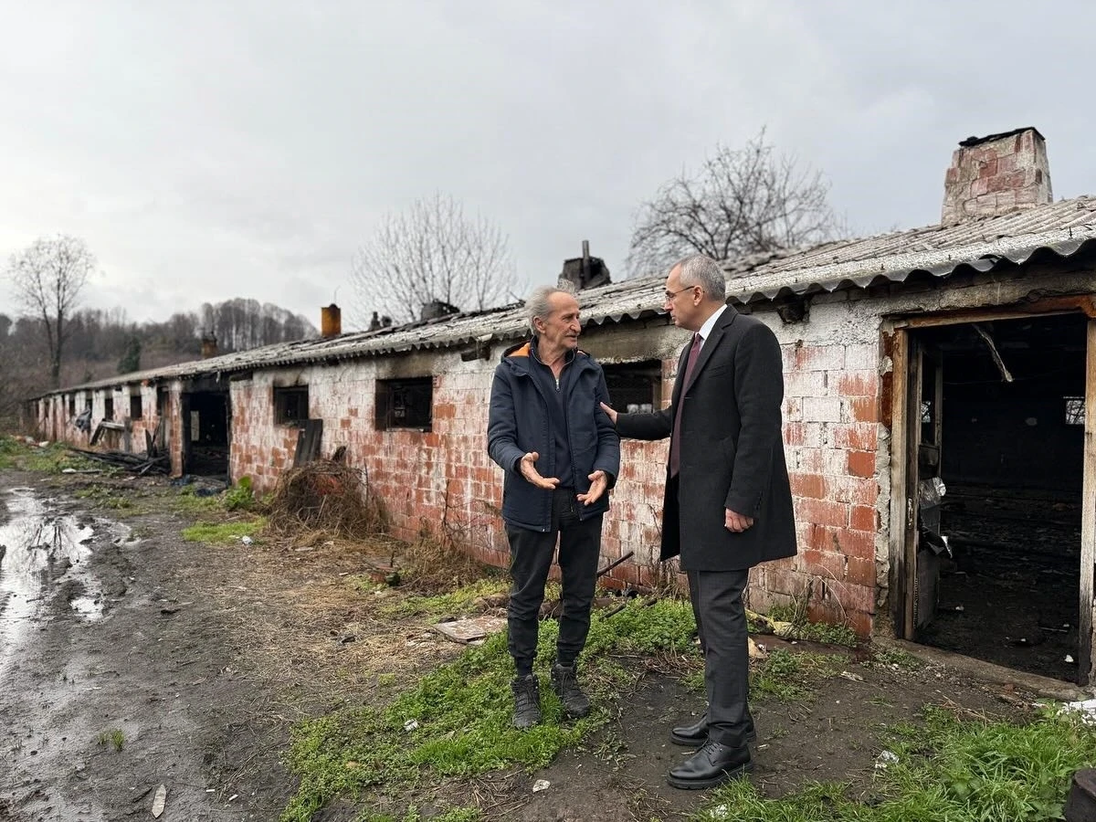 8 bin 700 tavuk telef olmuştu, Kaymakam Pişkin çiftlikte incelemelerde bulundu
