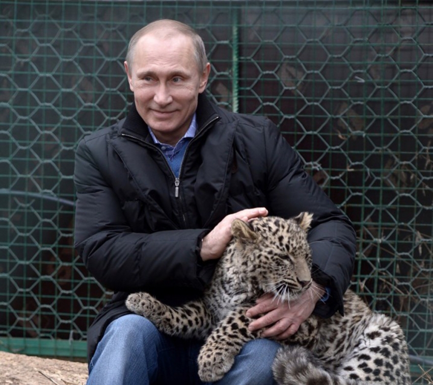 Putin’in leoparı Abhazya’da yakalandı