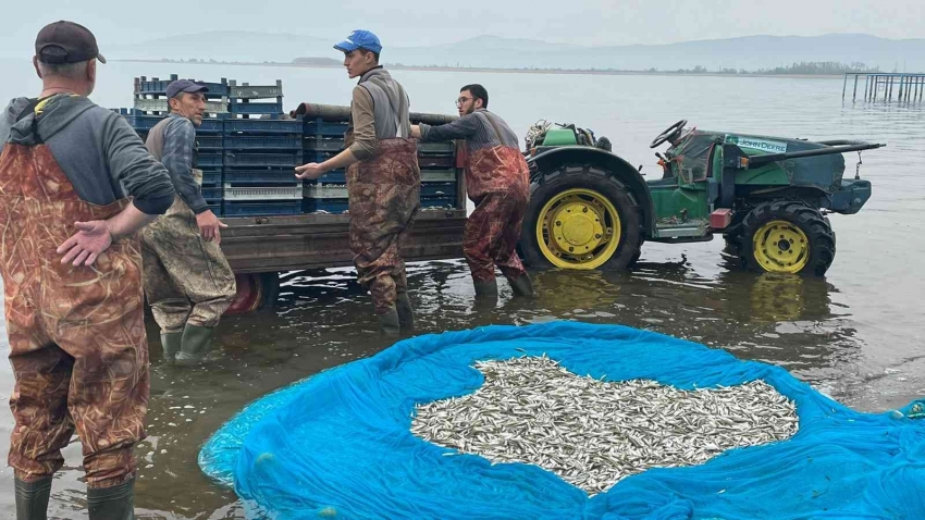 İznik Gölü’nde gümüş balığı sezonu açıldı