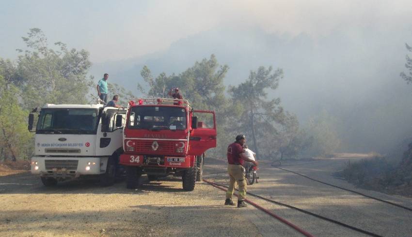 Mersin’de orman yangını