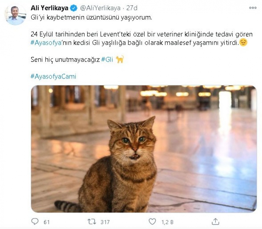 Ayasofya’nın sembol kedisi Gli hayatını kaybetti