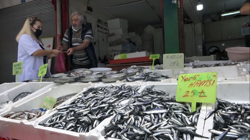 Erken başlayan hamsi sezonu, erken bitecek endişesi