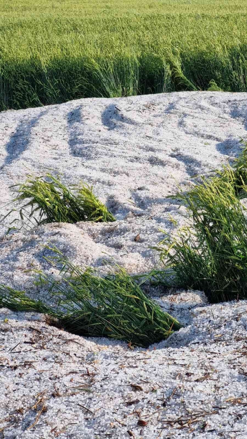 Dolu yağışı sonrası her yer beyaza büründü