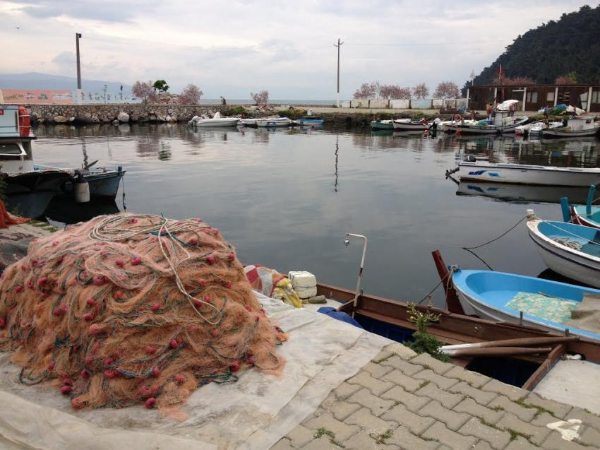 Tirilye balıkçı barınağı Tarım’a devredildi