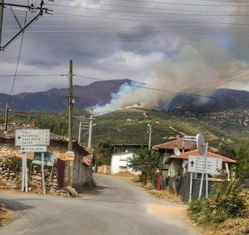 İzmir’de ormanlık alanda yangın