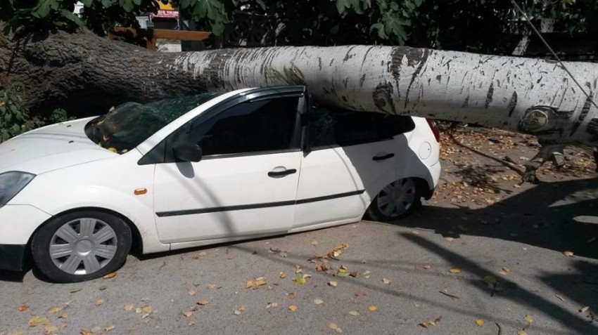 Sakarya’da faciadan dönüldü!