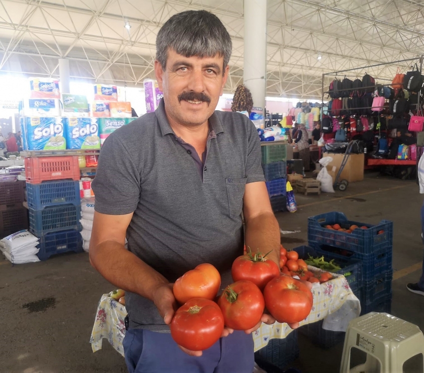 Organik domateslerin büyüklüğünü gören bir daha bakıyor