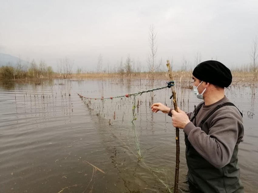 Efteni Gölü’nde 800 metre ağ yakalandı