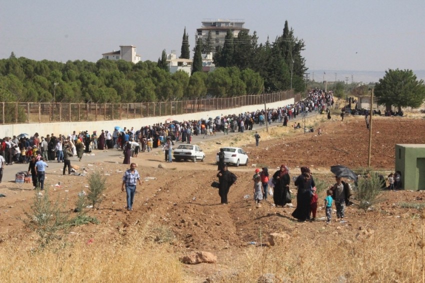 Sayıları 40 bine ulaştı