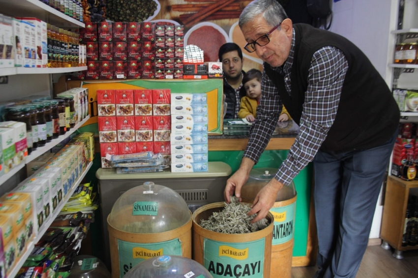 Aktarlar kış mevsiminde daha yoğun