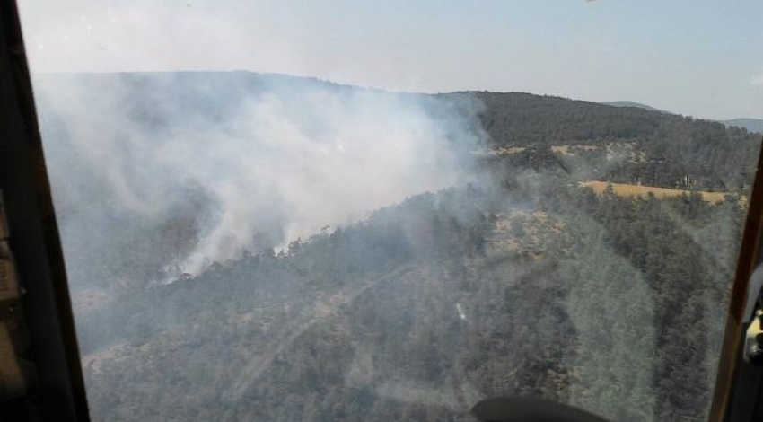 Bursa'da orman yangını