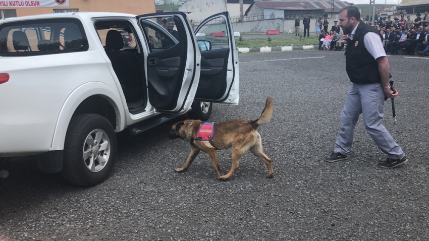 Patlayıcı madde ve bomba uzmanı köpeklerin gösterisi beğeni kazandı