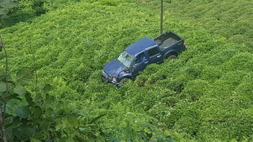 Araç çay tarlasına uçtu: 2 yaralı