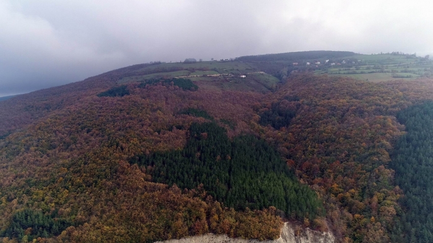 Karadeniz’de sonbaharda renk cümbüşü