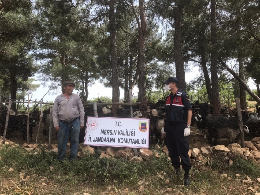 Misafir ettiği komşusunun hayvanlarını...