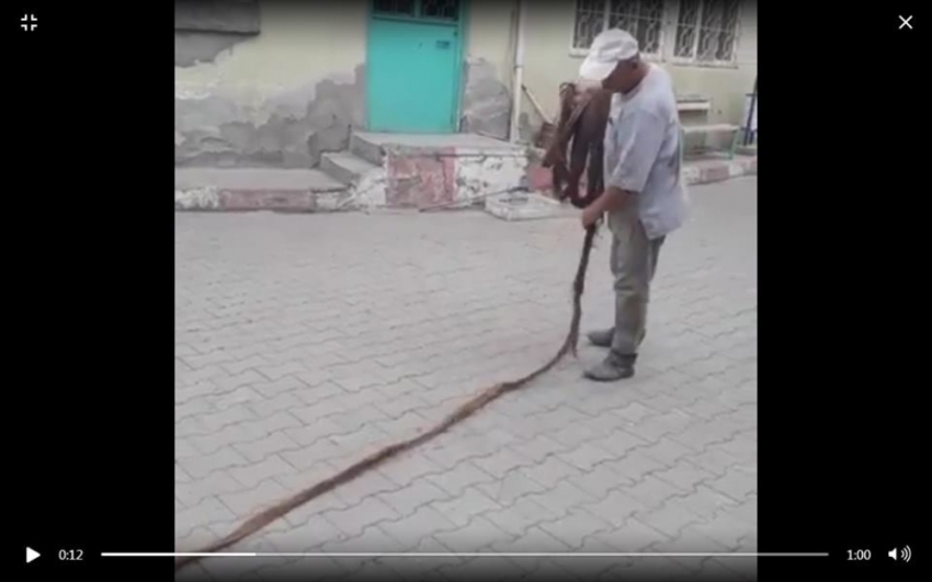 İçme suyu borusundan çıkan 9 metrelik ağaç kökü şaşırttı