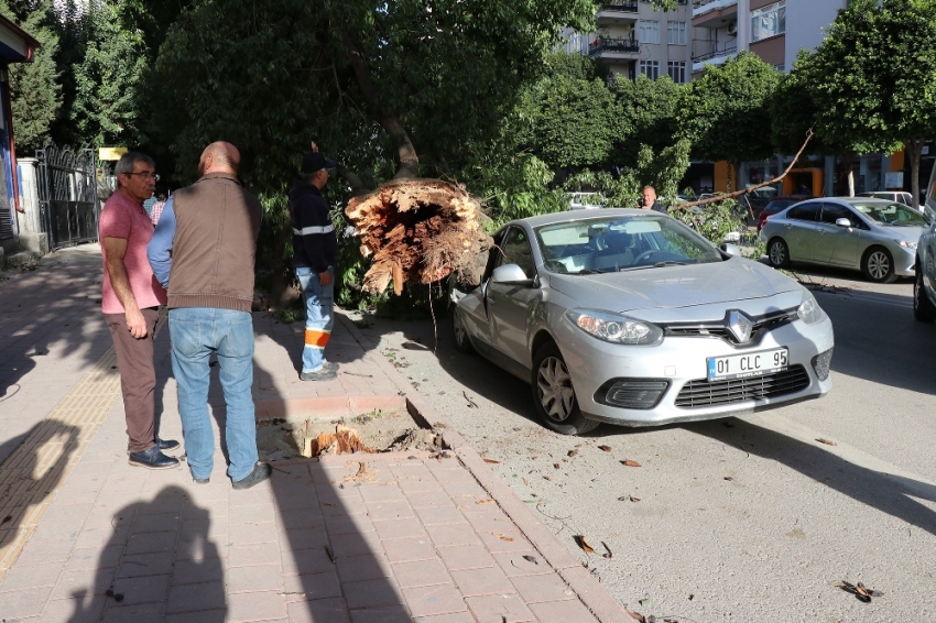 Adana’da şiddetli rüzgar hayatı olumsuz etkiledi