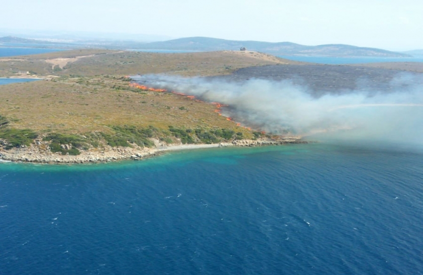 Ayvalık Maden adasında orman yangını